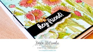 FB Live Replay - Daisy Garden