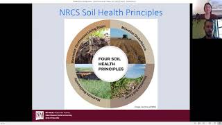 Building Healthy Soil at Pata Viva Farm