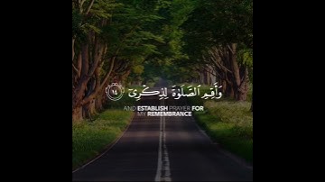 حالات واتس قران كريم بصوت جميل قران حالات واتس حالات واتساب قران راحه نفسيه8