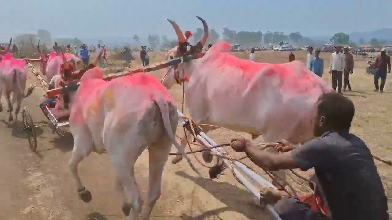 पाडळी जनरल ब गट दोन्ही एकत्र 