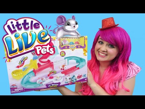 children's toys for 6 year olds Little Live Pets Lil' Mouse Fun Park Trail | TOY REVIEW | KiMMi THE CLOWN