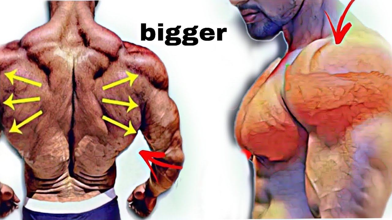 Build Rear Shoulders Wider back & Shoulder workout at home build shoulders & back at home ...