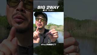 ゆたかボーイのマル秘リグ「BIG2WAY直リグワッキー」 #shorts