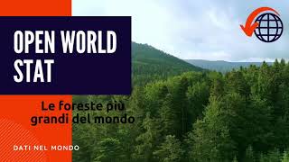 Le più grandi foreste primarie nel mondo