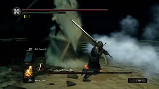 Crossbreed Priscilla NG+7 (Ultra Greatsword / No Damage) Dark Souls Remastered