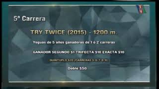 Carr.5 Premio: TRY TWICE (2015)