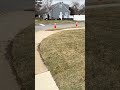 Finish sod installation