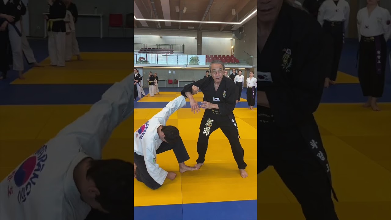 Ki Extension Hand Open by Hwa Rang Do® Grandmaster Taejoon Lee