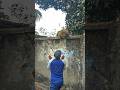 funny60🐒🥰#funny #monkey #comedy #shortsfeed #shorts #shortsvideo