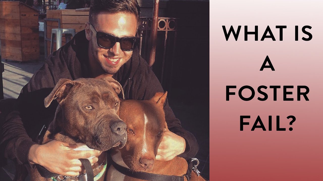 What is a Foster Fail?