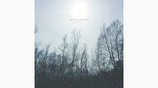 With Hidden Noise - Back to Me (shoegaze/dreampop/slowcore)