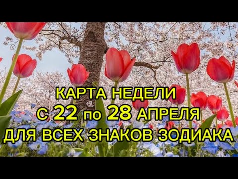 Таро гороскоп на апрель 2024 телец