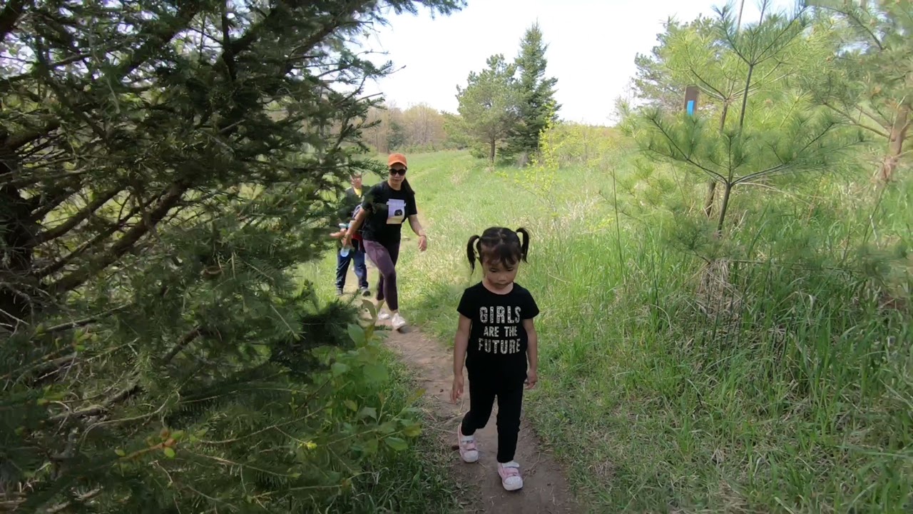 Boyne Valley, Murphy's Pinnacle Side Trail and Hogg Falls