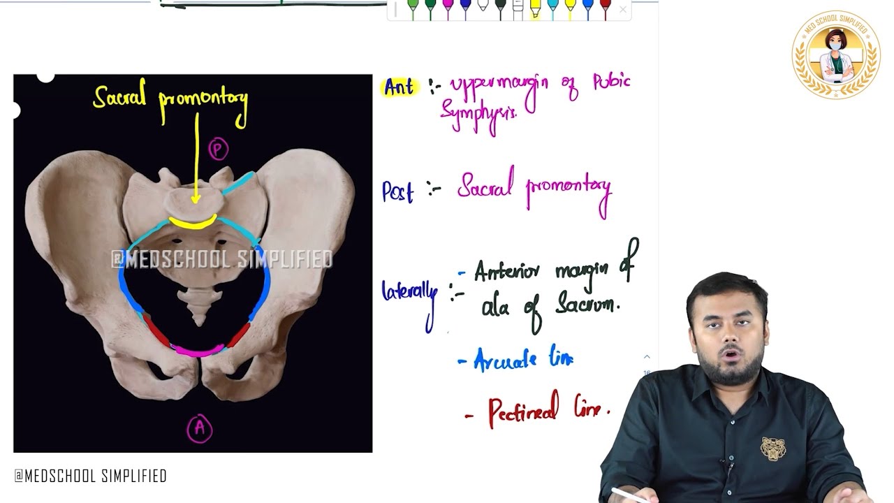 50. Pelvic Inlet (Pelvic Brim) | Simplified Anatomy for NEET PG, USMLE, FMGE & MBBS 💯