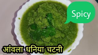 आंवला धनिया की चटनी I Spicy Amla Chutney I amlachutney I chutney