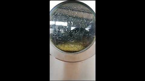 Vacuum Fryer Live Demonstration