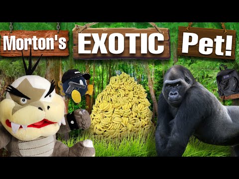 Morton’s Exotic Pet! - SuperMarioNoah