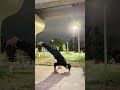 Unlocked calisthenics #viral #motivation #calisthenics #handstandworkout #beginners