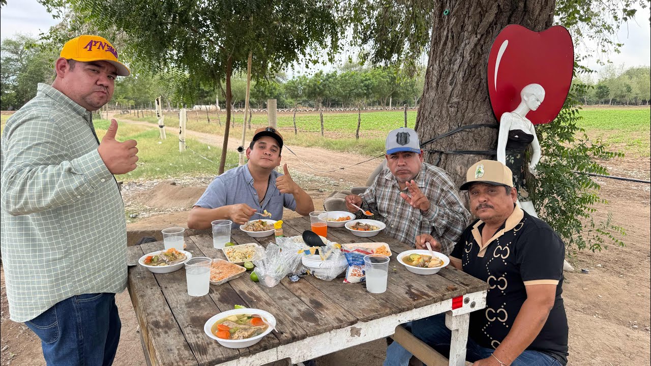 Caldo de pollo con los amigos de la ruta nueve en el árbol de la felicidad 