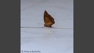 Details To Pimp a Butterfly Guide