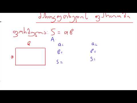 მათემატიკა - მართკუთხედის ფართობი/პერიმეტრი
