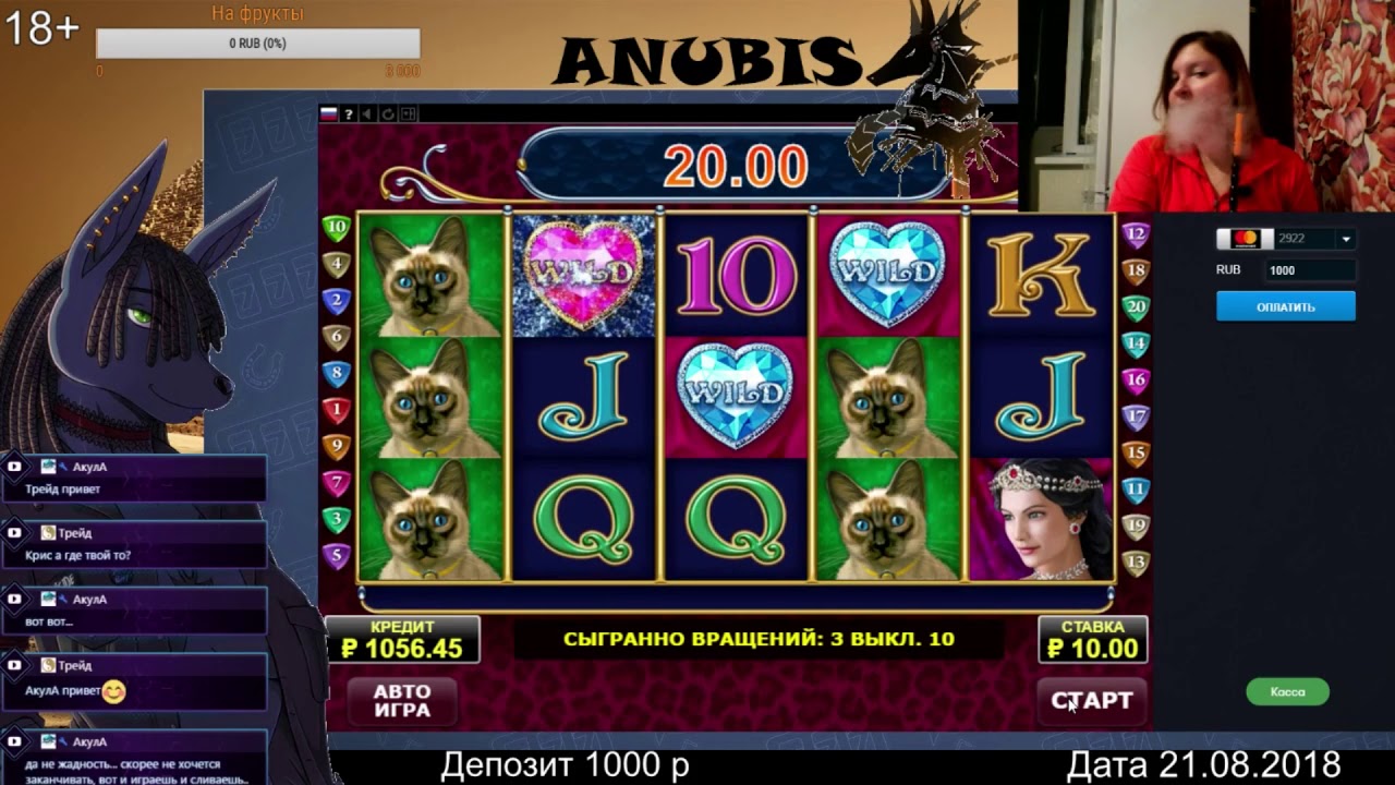 Diamond Cats от Amatic