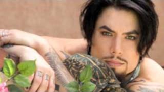 Dave Navarro - Turtle Heaven