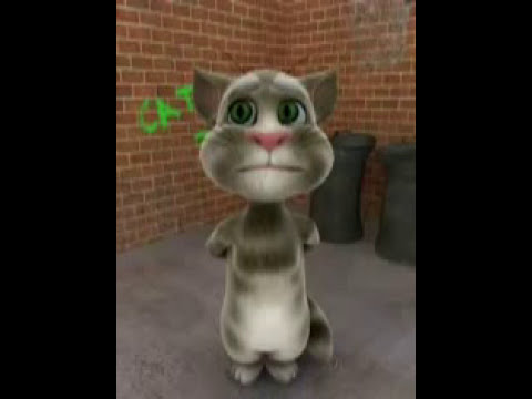 Cat praising God