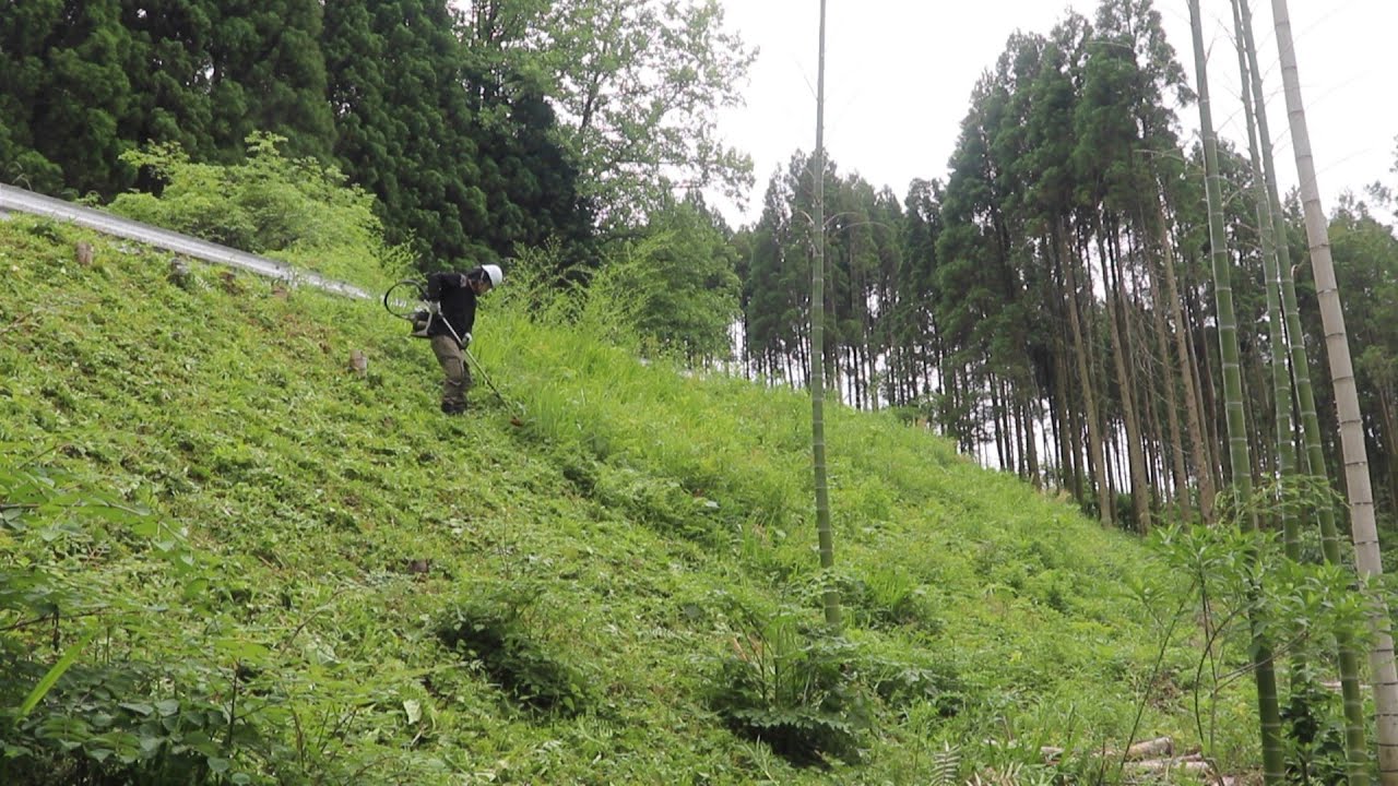 竹藪の斜面草がボウボウ‼ナイロンコードで爽快に粉砕＆排水溝掃除