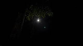 Heavy rain in the beautiful Indonesian countryside||very heavy and strong||insomnia medicine
