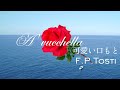 可愛い口もと A' vucchella/F.P.Tosti【8800km離れた僕たちのリモート合奏】