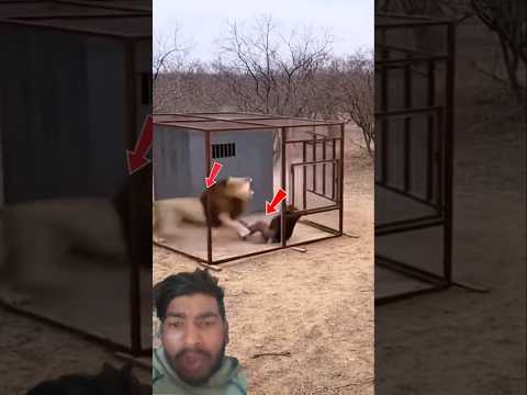 لطف الله لا يتأخر بل يأتي في اللحظة التي يظن   فيها القلب أنه لن ينجو