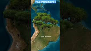 Amazon river |Map explanation|amazing to see|must watch|#amazon #interestingfacts #mustwatch #facts