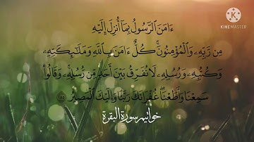 خواتيم سورة البقرة | الشيخ/اسامة الدنداراوي