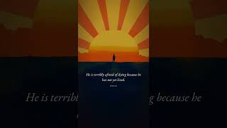 Kafka: The World Will Offer Itself Kafka: The World Will Offer Itself