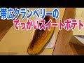 帯広名物クランベリーのスイートポテトを食べてみる