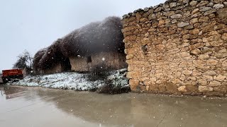 Vamos al pueblo a echar a los gatos por que está nevando