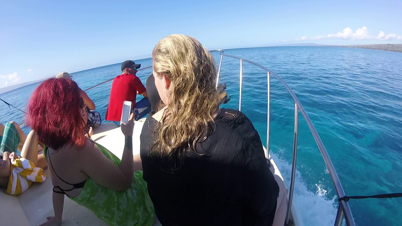 Snorkeling Molokai Hawaii. Part 8 YouTube