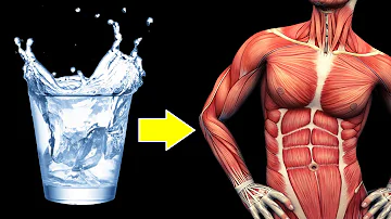 ¿Qué le ocurre a mi cuerpo si sólo bebo agua?