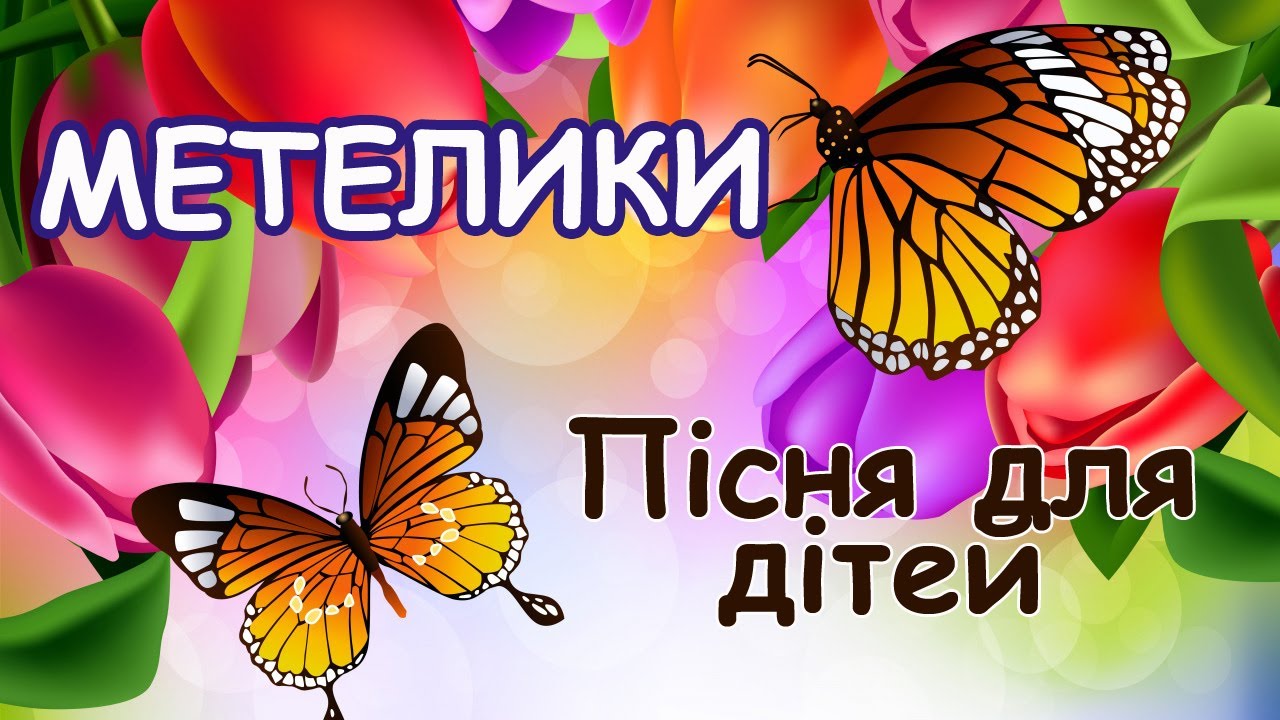 Метелики - дитяча пісня про метеликів
