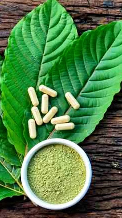 WHY ARE KRATOM LEAVES DANGEROUS?