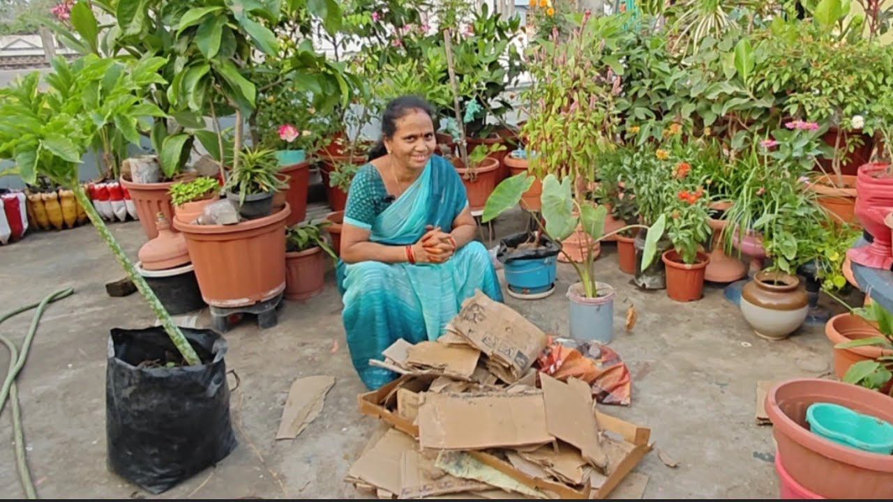 మన ఇంటి వేస్ట్ అని మొక్కలకి ఇష్టమైన కంపోస్ట్ గా ఎలా #మాబుజ్జితోటఛానల్ 