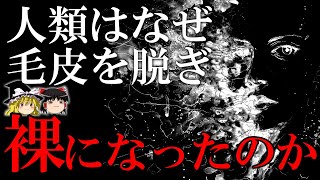 【ゆっくり解説】進化学最大の謎「人類の裸化」に対する４つの仮説