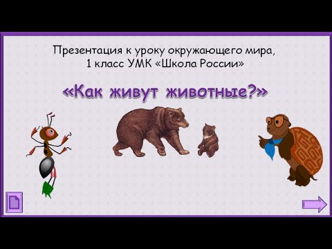 Как живут животные? Окружающий мир 1 класс УМК Школа России 22.12.2022