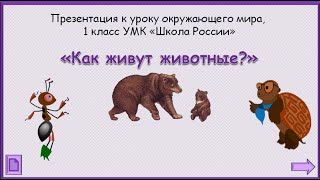 Как живут животные? Окружающий мир 1 класс УМК Школа России 22.12.2022