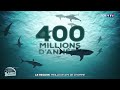 🦈 Le requin, un animal très utile à l'homme｜TF1 INFO