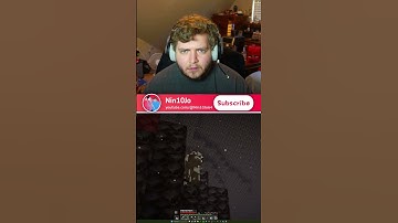 Can a Minecraft Cow SURVIVE The Nether? I Found Out