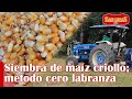 Siembra de maíz criollo | Método cero labranza | Granja San Lucas