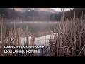 Romanian Lakeside Dawn Chorus Soundscape | Lacul Cuejdel, Gârcina