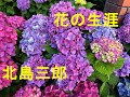 花の生涯/北島三郎 Cover♪あじさん・・♪